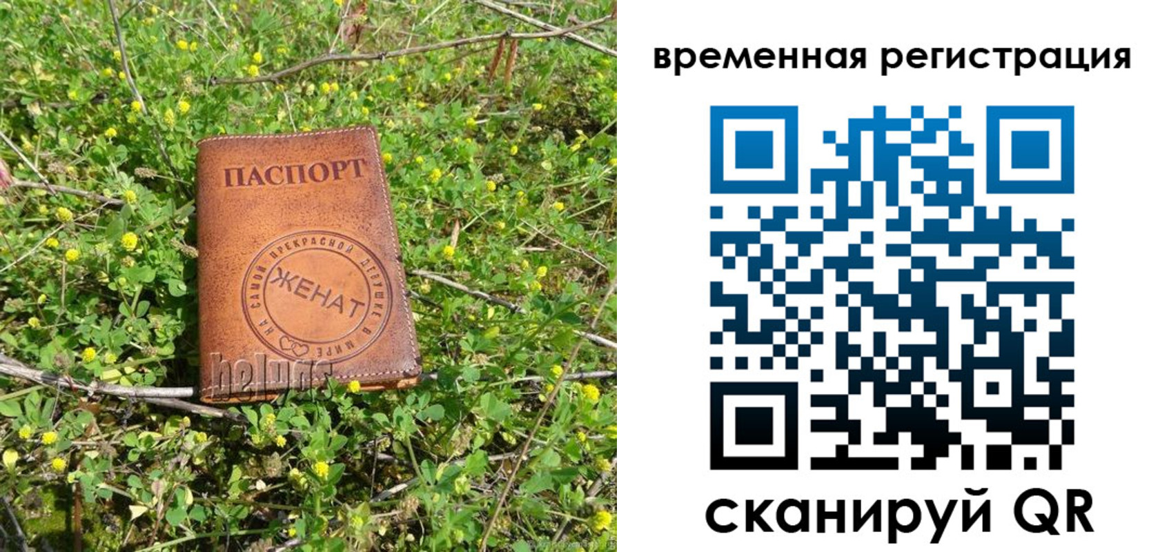 прописка регистрация в Хотьково